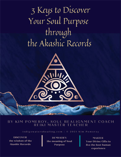 Soul purpose guide